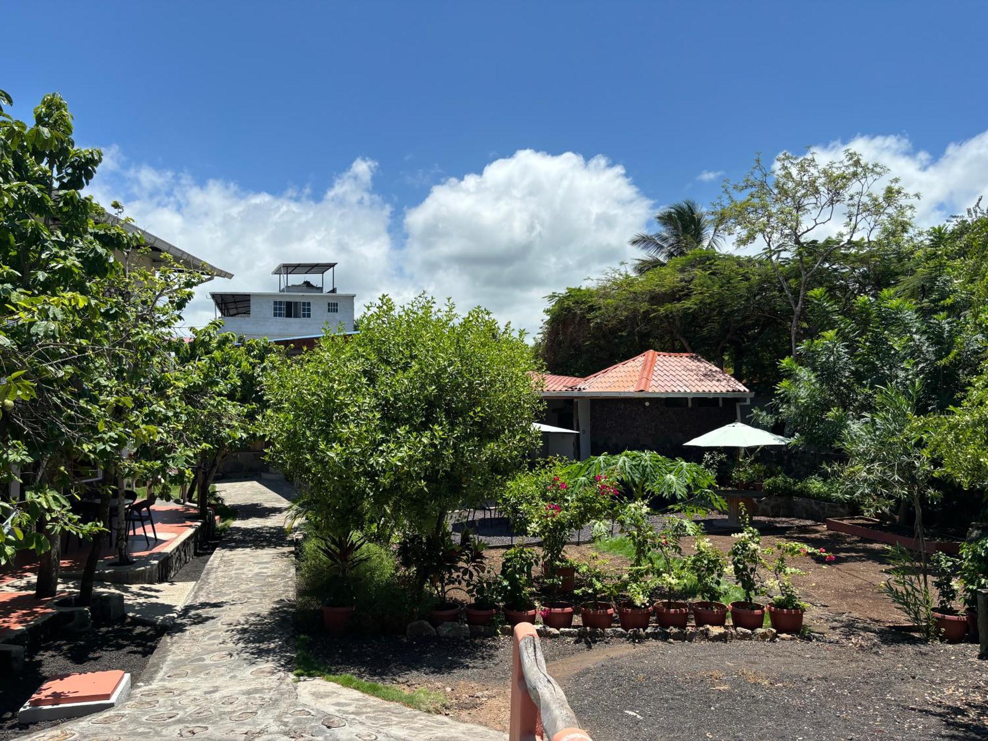 Lava House Hostal Puerto Ayora  Zewnętrze zdjęcie