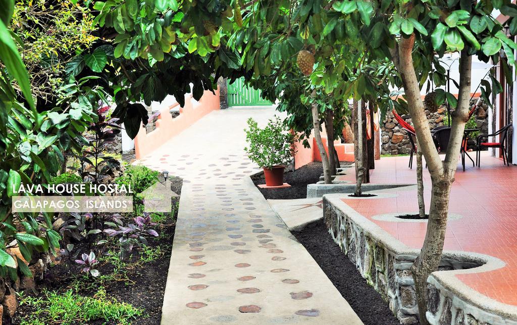 Lava House Hostal Puerto Ayora  Zewnętrze zdjęcie